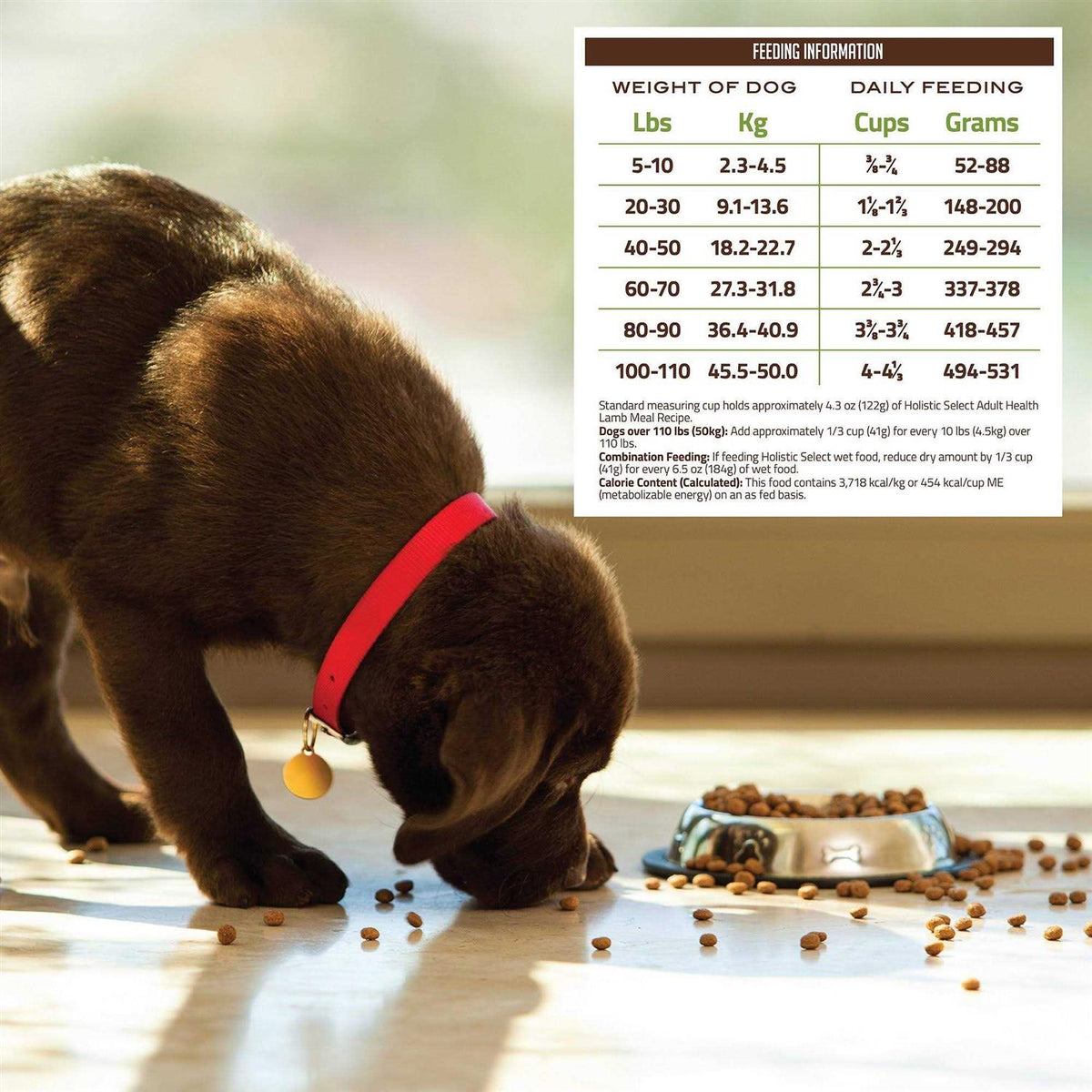 Lamb Meal Recipe Dry Dog Food S955751