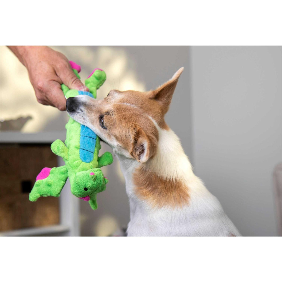 Skinny Chew Guard Dog Toy Q7763