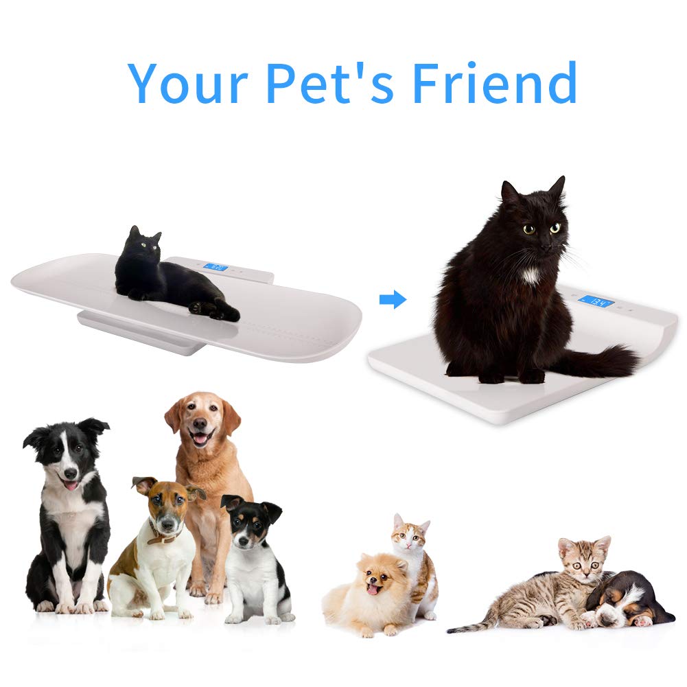 Digital Pet Scale, Infant Scale with Height Track, 220lbs, Pack of 2 G703