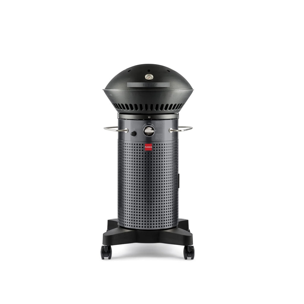2-Burner Propane Gas Grill F712292