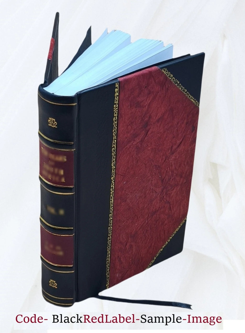 Leather Bound Illustrated Book N907349